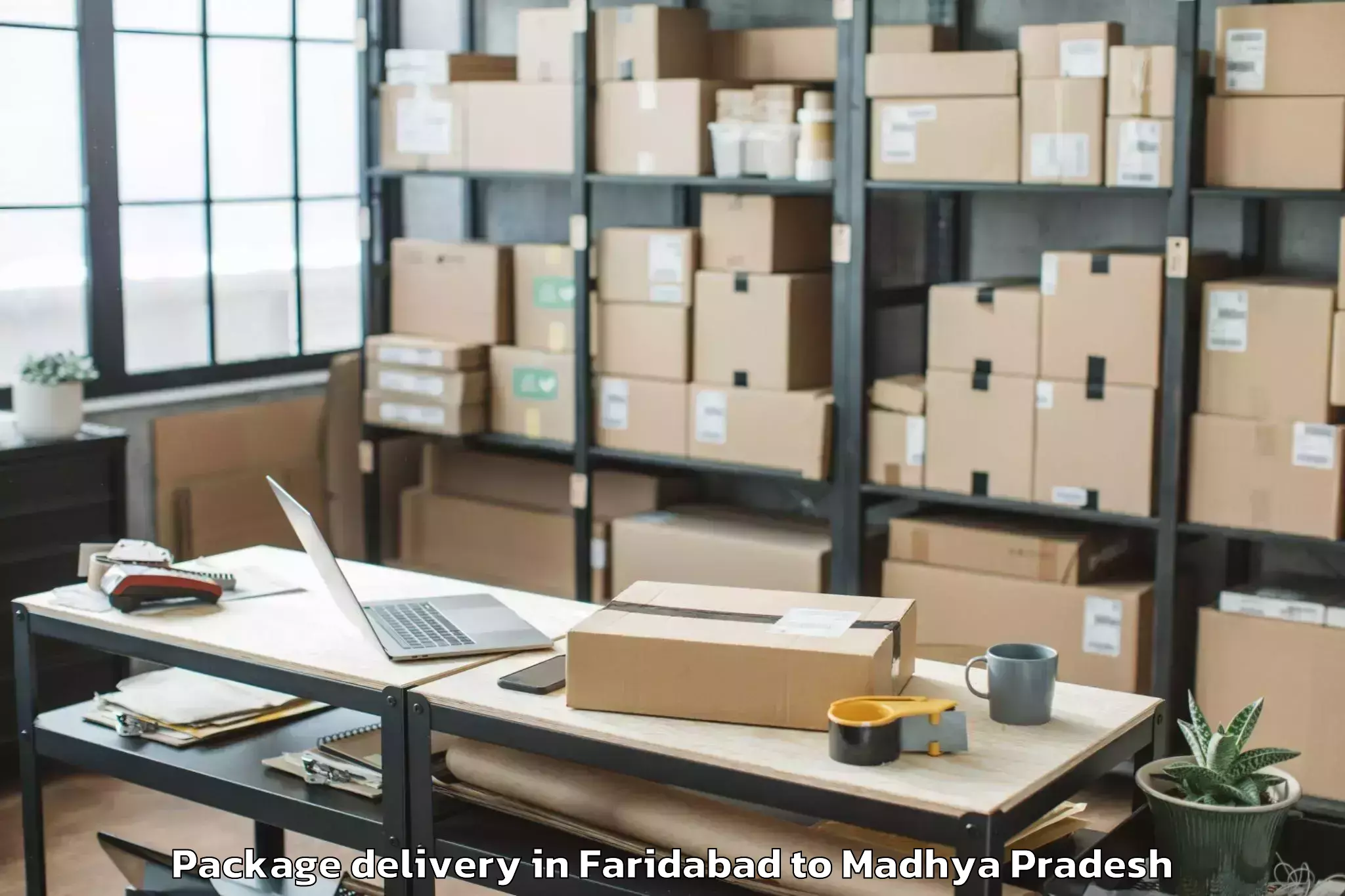 Faridabad to Satna Airport Tni Package Delivery